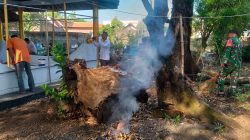 Babinsa Ajak Warga Guyangan Gotong Royong Bersihkan Area Makam, Perkuat Kepedulian dan Kebersamaan