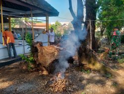 Babinsa Ajak Warga Guyangan Gotong Royong Bersihkan Area Makam, Perkuat Kepedulian dan Kebersamaan