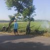 BABINSA DESA NGLUNDO PELAKSANAKAN KARYA BAKTI PEMBERSIHAN LINGKUNGAN DI DUSUN JOPATRAN