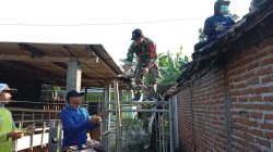 BABINSA KORAMIL 0810/10 TANJUNGANOM GOTONG ROYONG BANTU RENOVASI RTLH WARGA BINAAN