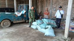 BABINSA KORAMIL 0810/04 BERBEK DAMPINGI PETANI PANEN PADI, DUKUNG KETAHANAN PANGAN NASIONAL DAN TINGKATKAN KESEJAHTERAAN PETANI