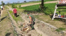 BABINSA KORAMIL 0810/11 PRAMBON BERSAMA MASYARAKAT LAKSANAKAN KARYA BAKTI BERSIHKAN SALURAN IRIGASI