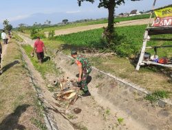 BABINSA KORAMIL 0810/11 PRAMBON BERSAMA MASYARAKAT LAKSANAKAN KARYA BAKTI BERSIHKAN SALURAN IRIGASI