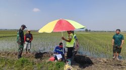 Babinsa Desa Rejoso Dampingi PPL dan Kelompok Tani Lakukan Pencarian Sumber Mata Air dengan Metode Geolistrik Bantuan IRPOM