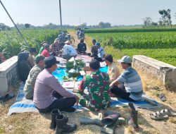 BABINSA BERSAMA PEMERINTAH KECAMATAN DAN STAKEHOLDER DAMPINGI PROGRAM IRIGASI PERPOMPAAN KEMENTERIAN PERTANIAN