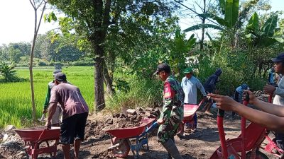 Babinsa Koramil   Bagor Gotong Royong Renovasi Paving Jalan Warga, Wujud Nyata Kemanunggalan TNI dengan Rakyat