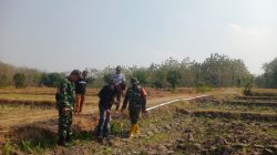 Dukung Ketahanan Pangan, Koramil  Rejoso Dampingi Pencarian Sumber Air dengan Geolistrik untuk Pengeboran Irigasi Perpompaan