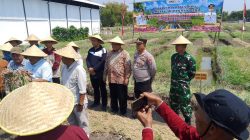 Tasyakuran Panen Bawang Merah dan Padi, Bupati Nganjuk Tekankan Peningkatan Kesejahteraan Petani