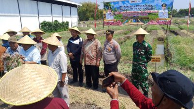 Tasyakuran Panen Bawang Merah dan Padi, Bupati Nganjuk Tekankan Peningkatan Kesejahteraan Petani