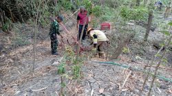 Aksi Tanggap Babinsa Berhasil Jinakkan Api di Rumpun Bambu, Sinergi TNI, polri dan Warga.