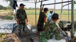 Babinsa Rejoso dan PPL Kawal Pengeboran Irpom Demi Ketahanan Pangan