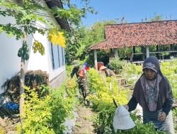 Babinsa Sumberkepuh Komsos Bersama Petani Cabai, Dukung Produktivitas Pertanian