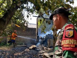 Api Membesar Usai Pembakaran Sampah, Gudang Kayu di Baleturi Prambon Ludes Terbakar