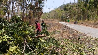 Singkirkan Pohon Tumbang dari Jalan, Babinsa Bajang dan Warga Bergerak Cepat Jaga Akses Tetap Aman