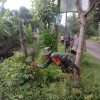 Rumput Liar Disikat, Lingkungan Jadi Bersih! Babinsa Patianrowo dan Warga Kompak Gotong Royong