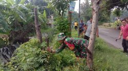 Rumput Liar Disikat, Lingkungan Jadi Bersih! Babinsa Patianrowo dan Warga Kompak Gotong Royong