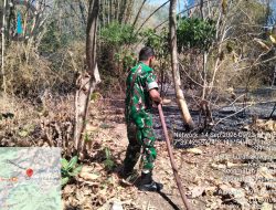 Lagi-Lagi Rumpun Bambu Dilalap Api! Babinsa Kacangan dan Damkar Berjibaku Jinakkan Kobaran di Berbek