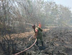 Api Membesar di Rumpun Bambu, Babinsa Baron dan Damkar Berjibaku Padamkan Kebakaran