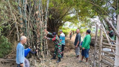Antisipasi Kebakaran di Musim Kemarau, Babinsa Koramil 0810/15 Rejoso Bersama Masyarakat Kerja Bakti Tebang Rumpun Bambu di Wilayah Binaan