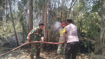 Cegah Api Meluas, Babinsa Koramil 0810/15 Rejoso Bantu Damkar Padamkan Kebakaran Rumpun Bambu di Wilayah Binaan
