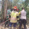 Api Mengganas di Rumpun Bambu, Babinsa Rejoso Bersama Damkar Bergerak Cepat Cegah Kebakaran Meluas