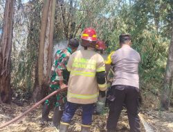 Api Mengganas di Rumpun Bambu, Babinsa Rejoso Bersama Damkar Bergerak Cepat Cegah Kebakaran Meluas