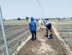 PEDULI AKSES PERTANIAN, BABINSA KORAMIL 0810/15 REJOSO BERSAMA WARGA KERJA BAKTI URUK JALAN USAHA TANI