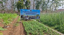 Dandim 0810/Nganjuk Ikuti Vicon Kesiapan Launching Kompi Produksi TA 2026